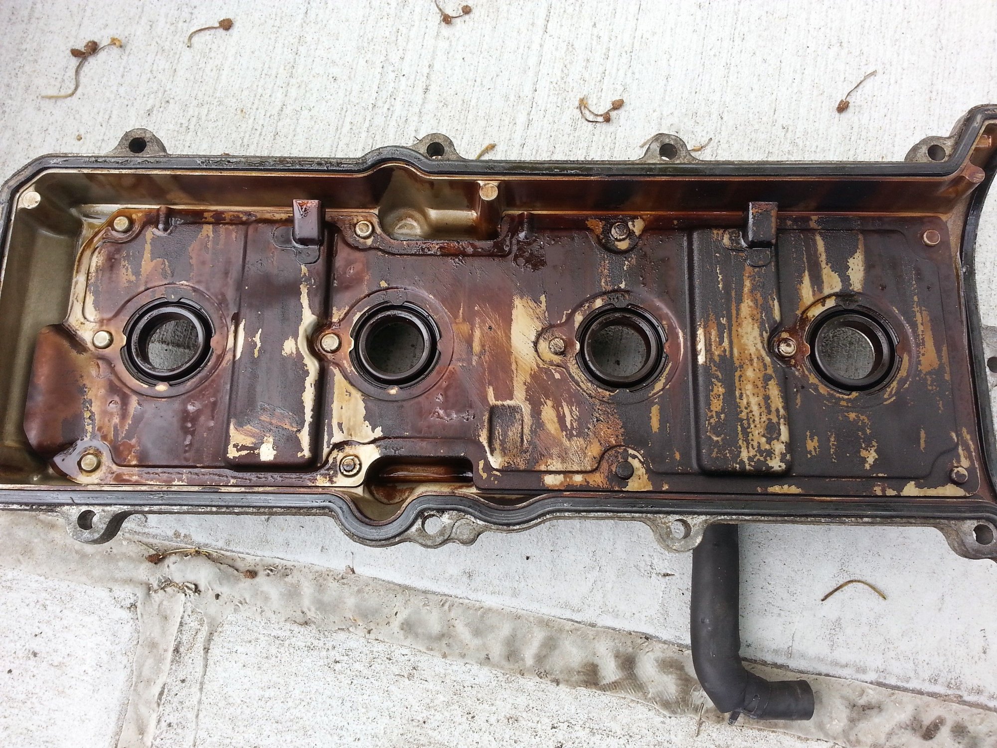 Amazon basics oil ClubLexus Lexus Forum Discussion