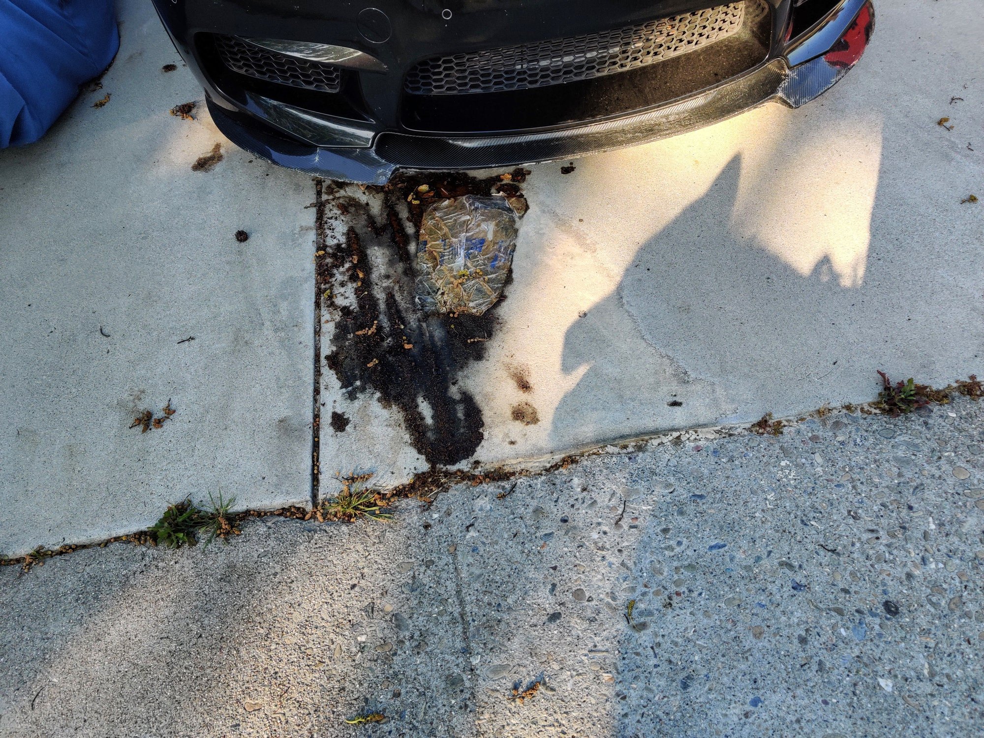 Lexus IS350 & IS250 Most Common Maintenance Issues Explained