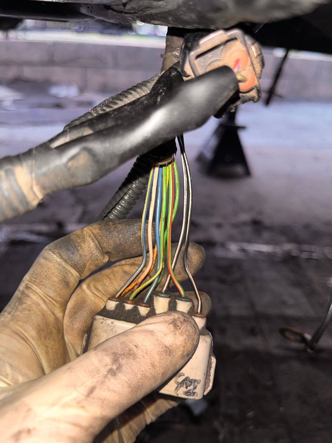 picture of the p1 plug wires from my car