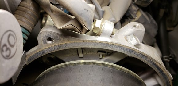 Cracks on face of factory timing belt at 90,216 miles, 276 months old. No noticeable wear on the tooth side of the belt.