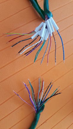 All of the wires have a unique color or line.