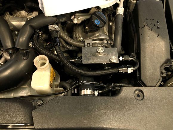 Another look at my AOS with AN fittings 