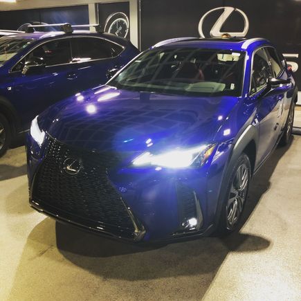 New Whip, Who Dis?