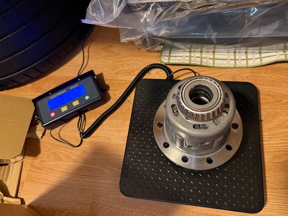 Torsen weight with bearings