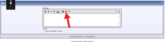 Click this button icon to add/upload pictures directly to the forum/website server.