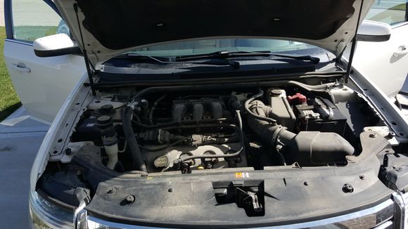 Before-Ford Taurus 2008 with 145K
Engine Bay Never Cleaned