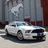 2008 Mustang Shelby GT500 Tribute