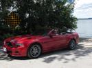 2013 Mustang GT convertible