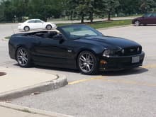 2014 Mustang 1