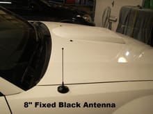 14   Black Antenna   8 inch