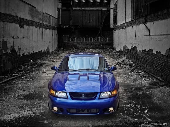 true blue terminator