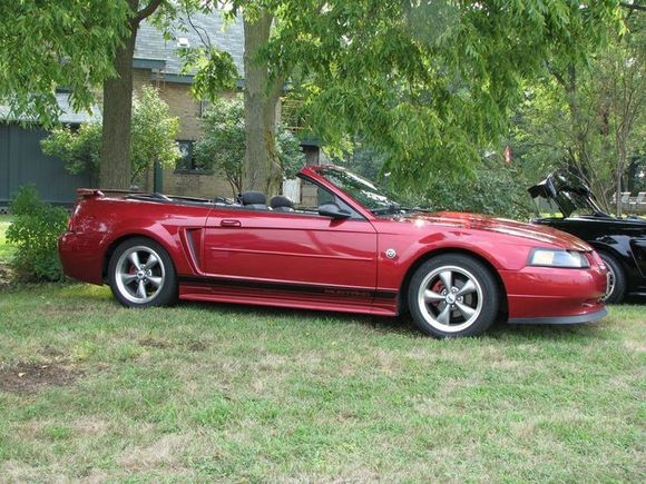 2004 stang