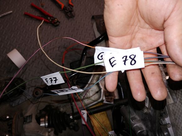 Decided it would be easier to run most the wires with the front cradle outside of the car.  I'm labeling each wire as I go so I can get it to the correct pin on the MIL connector on the firewall.  