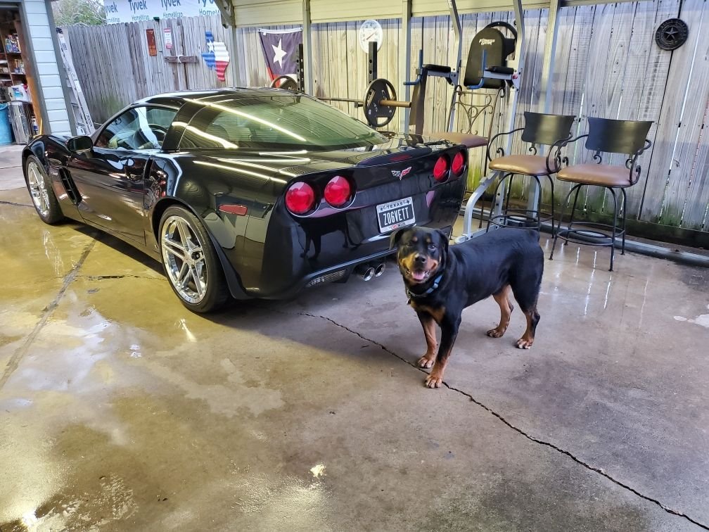 my best friend and clean car