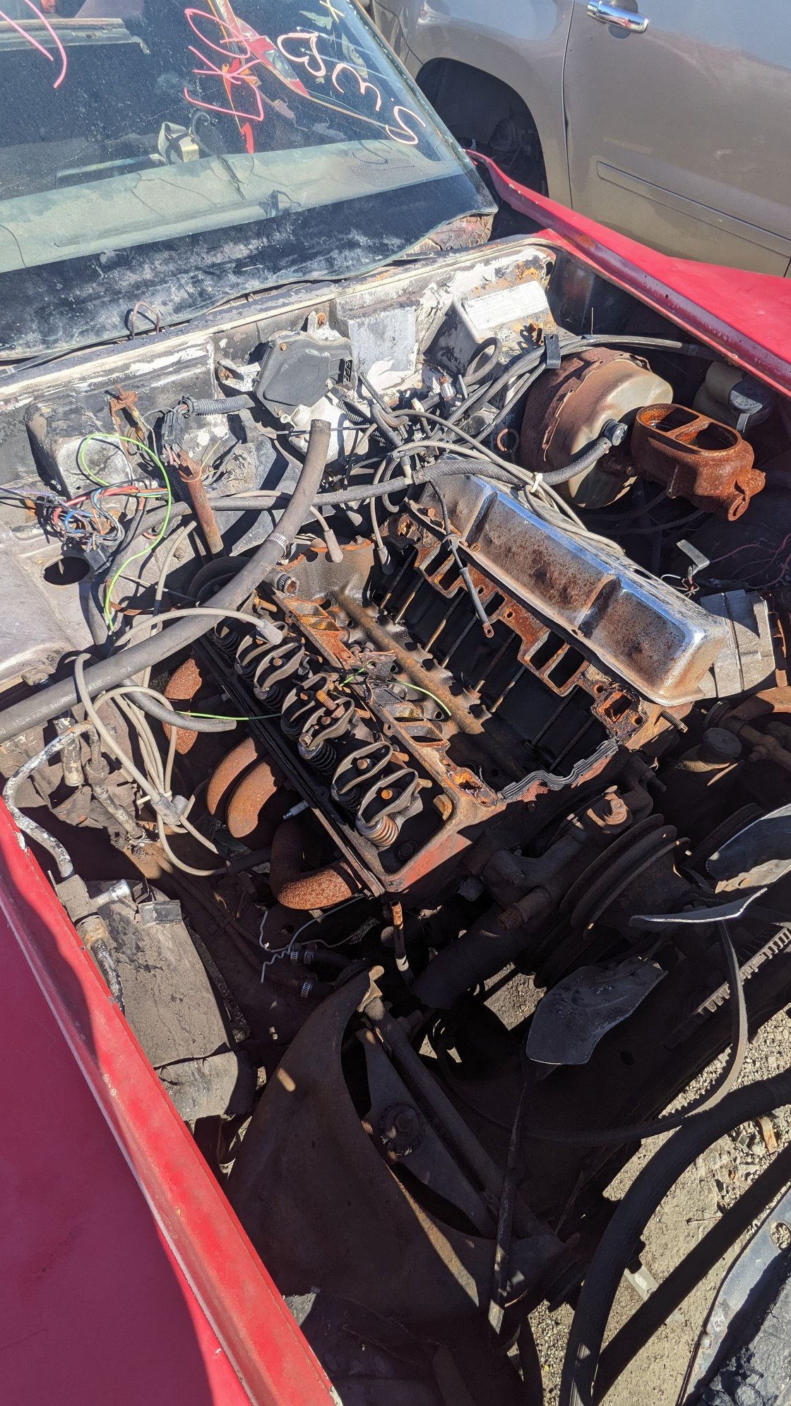 If I had the money and the time, I'd totally take the motor and transmission out of it. 