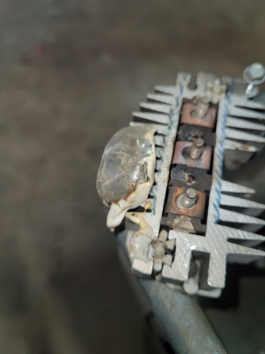 Alternator smoking CorvetteForum Chevrolet Corvette Forum Discussion