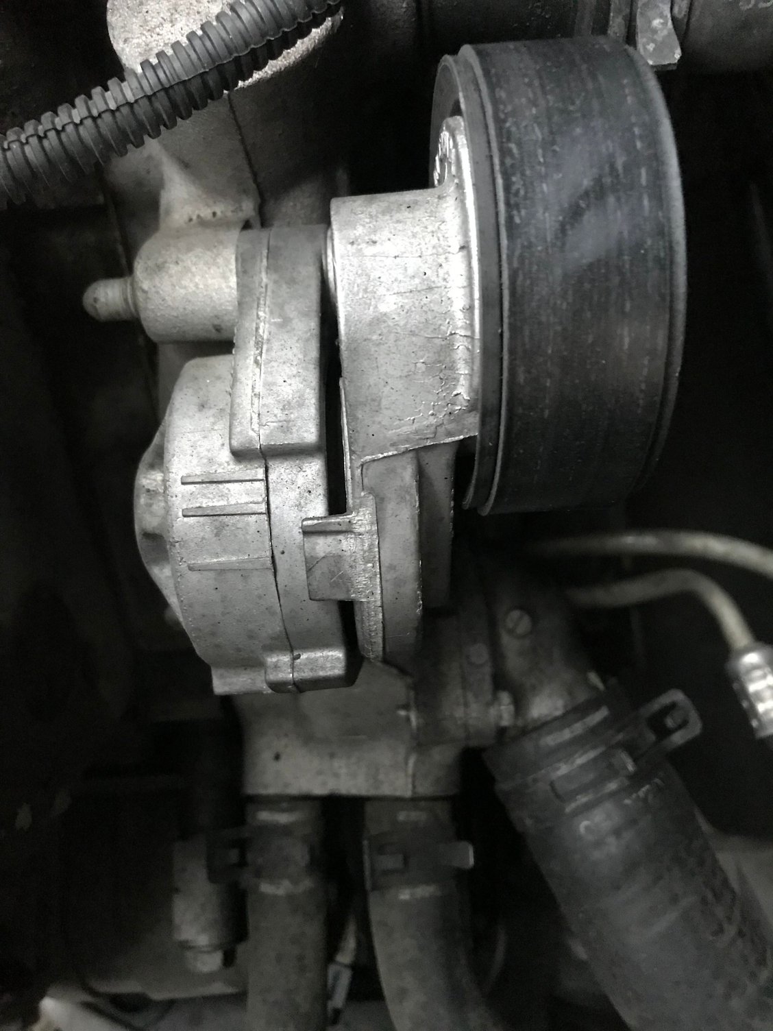 My car is squealing when I accelerate CorvetteForum