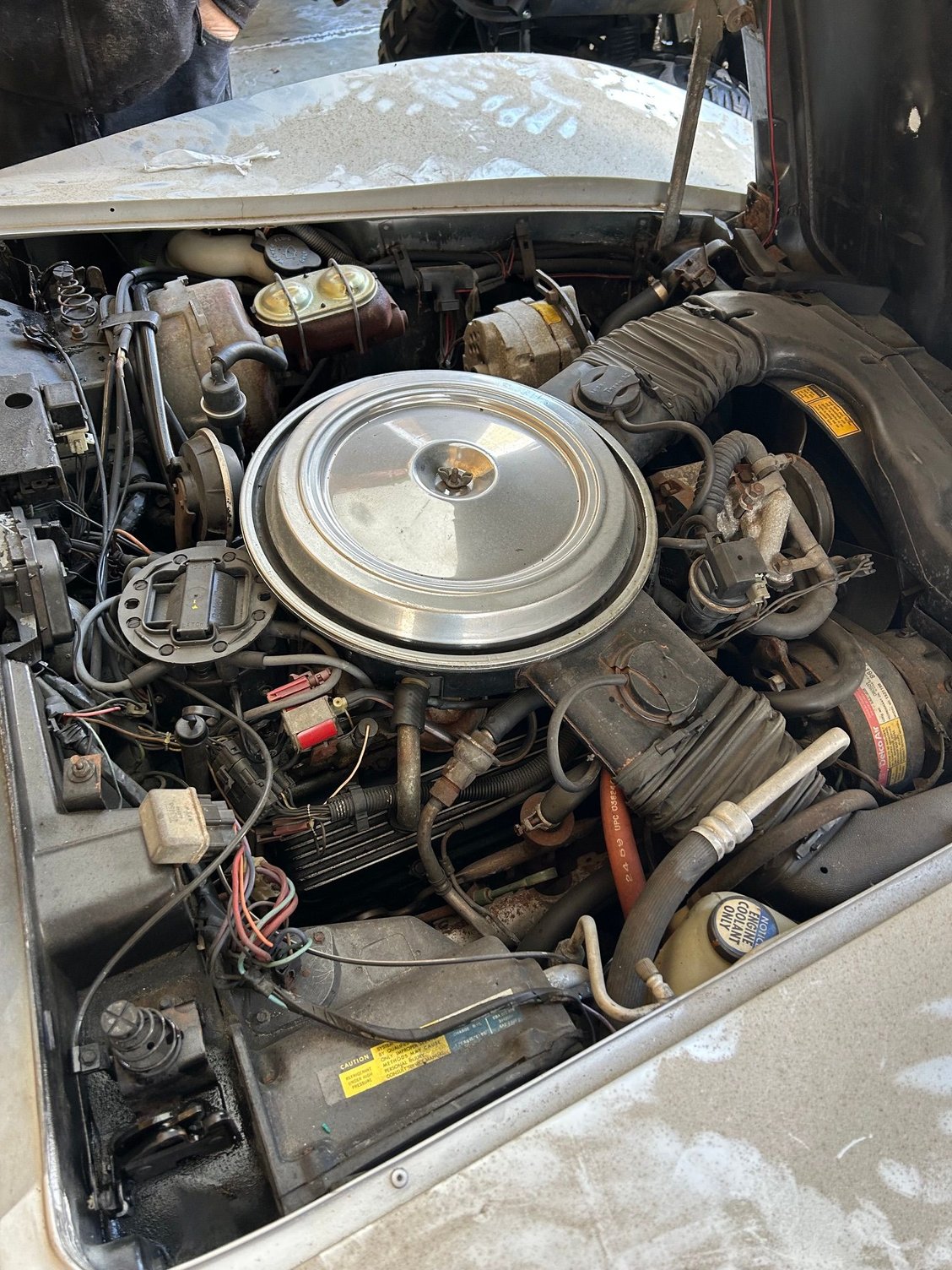 Engine is clean, not evidence of rodents.