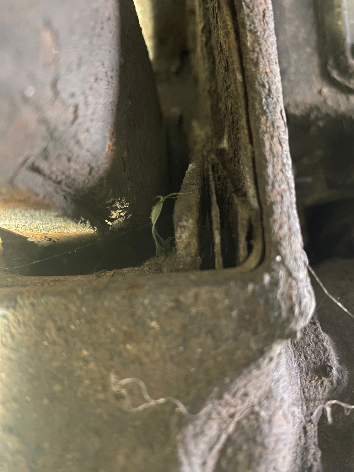 Trailing arm