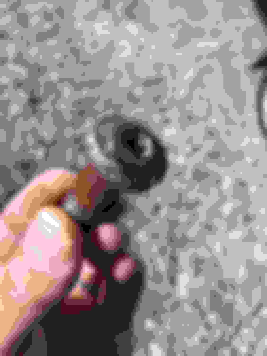 how to remove seized and stripped seatbelt bolt CorvetteForum