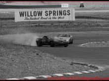 Willow springs