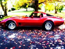 1980 corvette 023