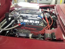 496 Dart big m block, The blower shop supercharger, Fuel injection by BDS and F.A.S.T. computer control.