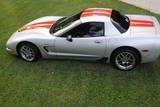 Z06a