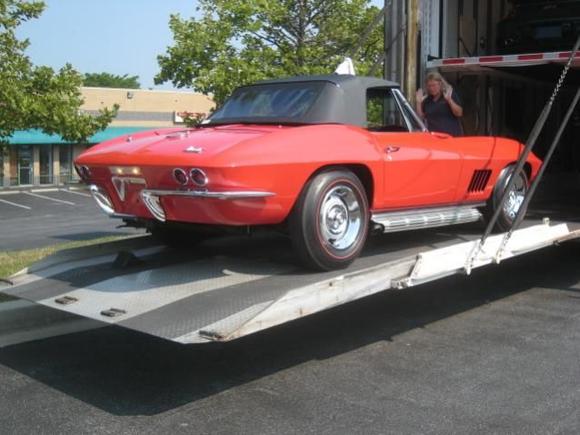 New baby arrives