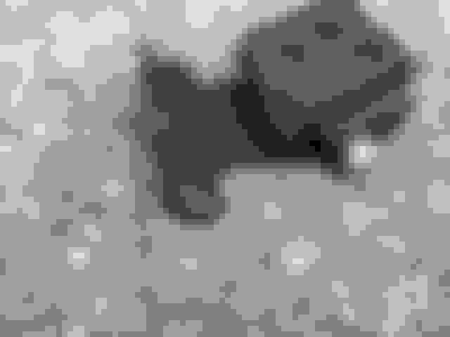 C2 63 WCFB hangs open! - CorvetteForum - Chevrolet Corvette Forum ...