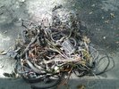 My Post Pictures My Post Pictures