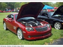 cruise03