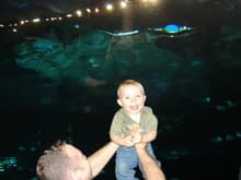 At the Aquarium!! TN