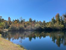 My pond.