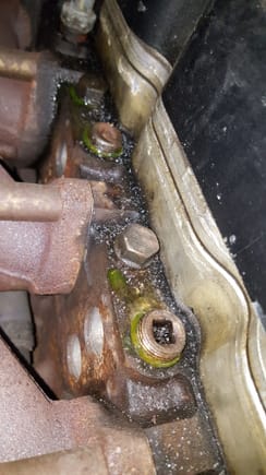 Please help identify  these bolts with coolant around them and possible cause??