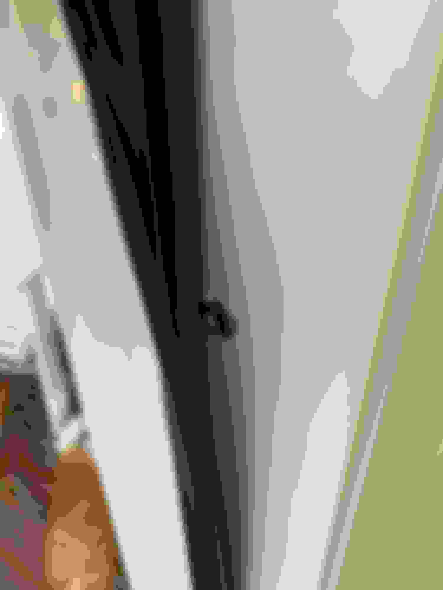 Entry door drags on adjustable threshold Community