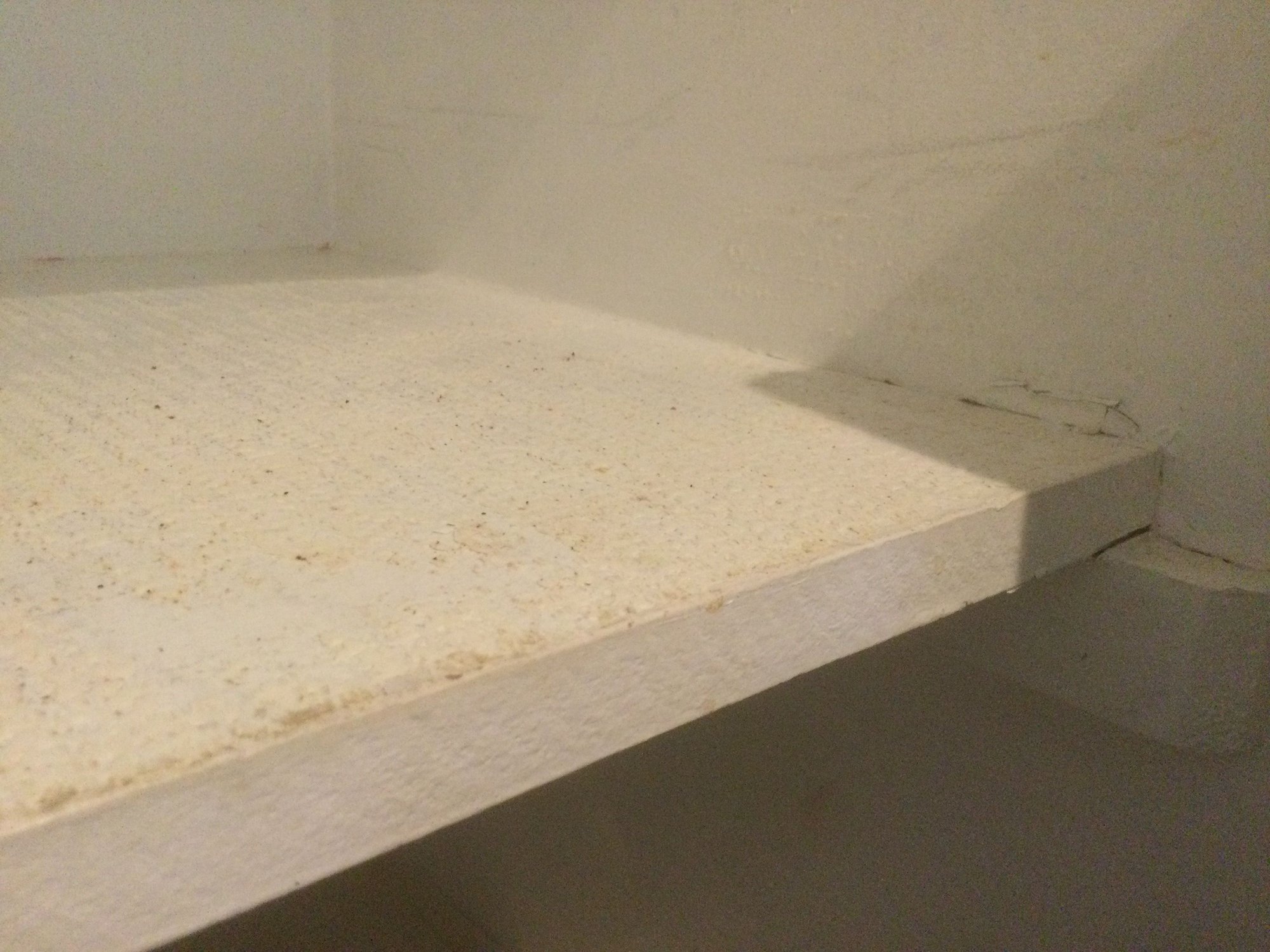 Best Way to Remove Pantry Shelves? Community Forums