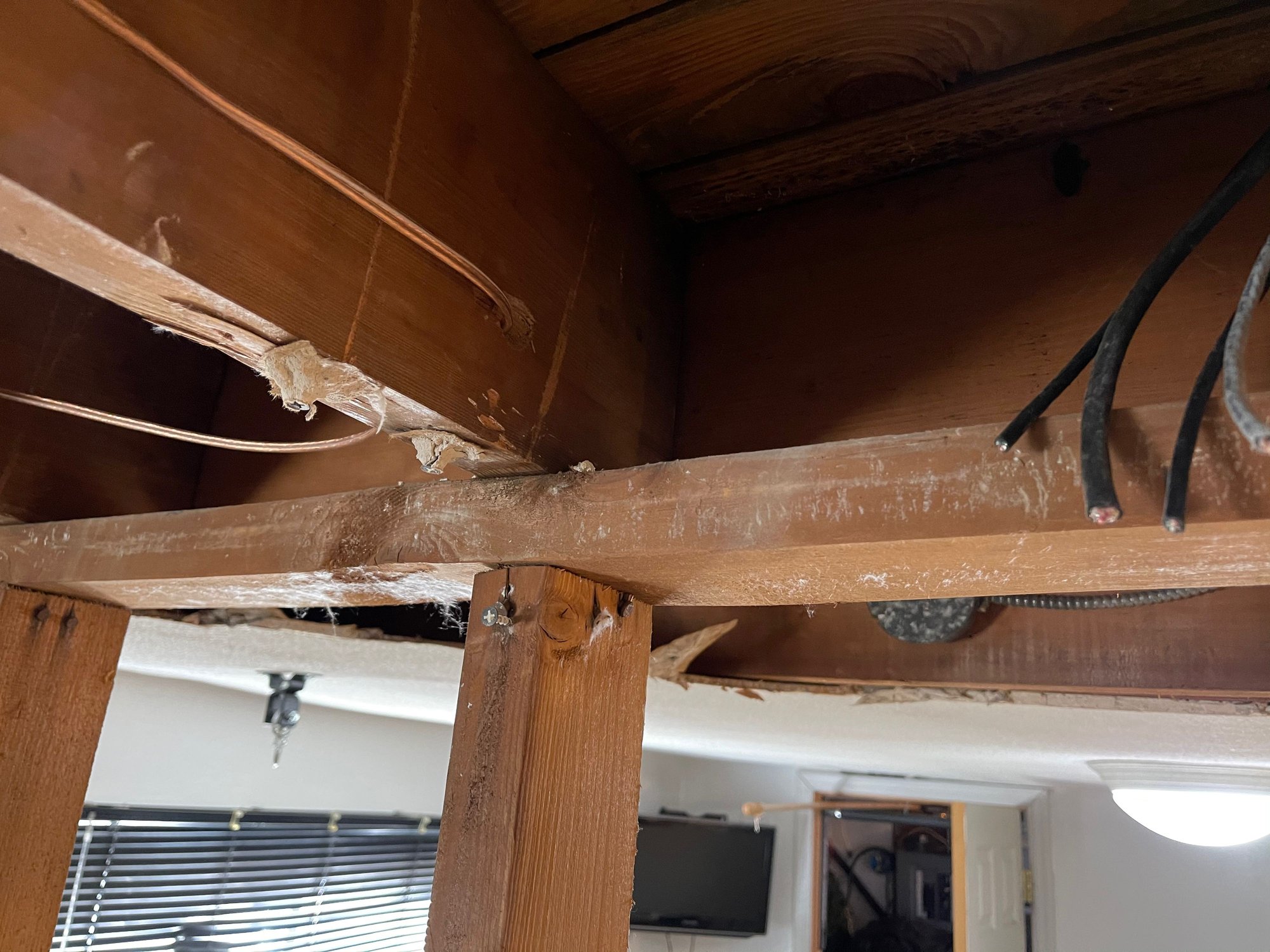 Taking down wall advice Community Forums