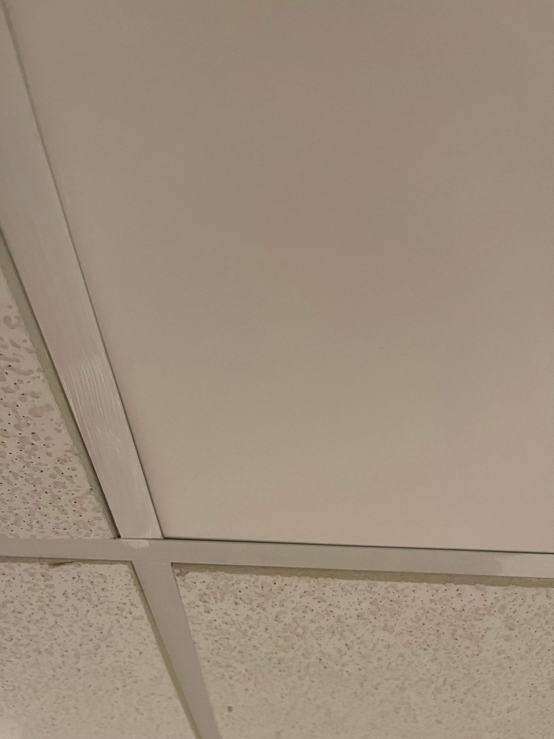 Drop Ceiling Tile Replacement Ideas Community Forums