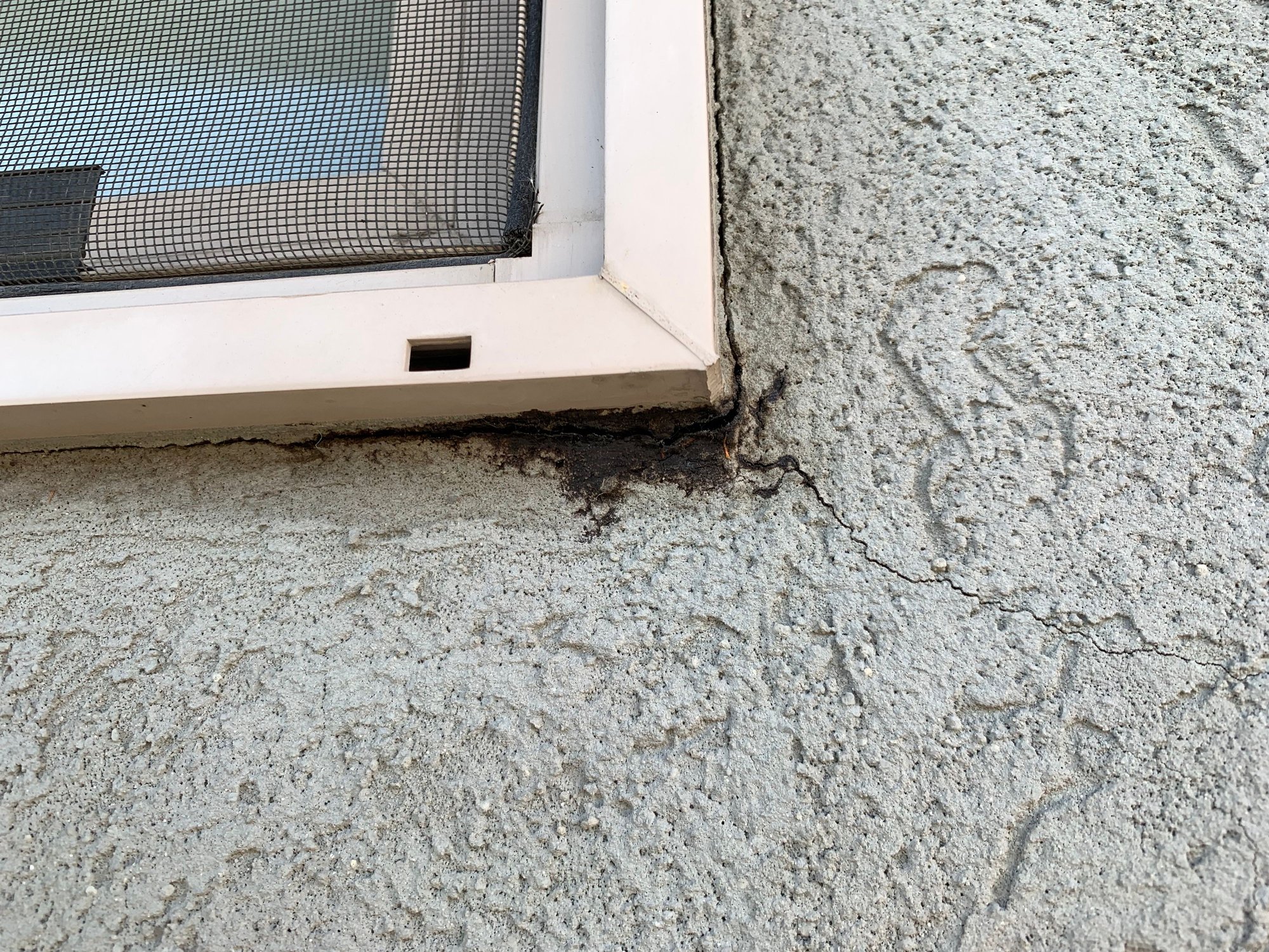 Possible mold on stucco Community Forums