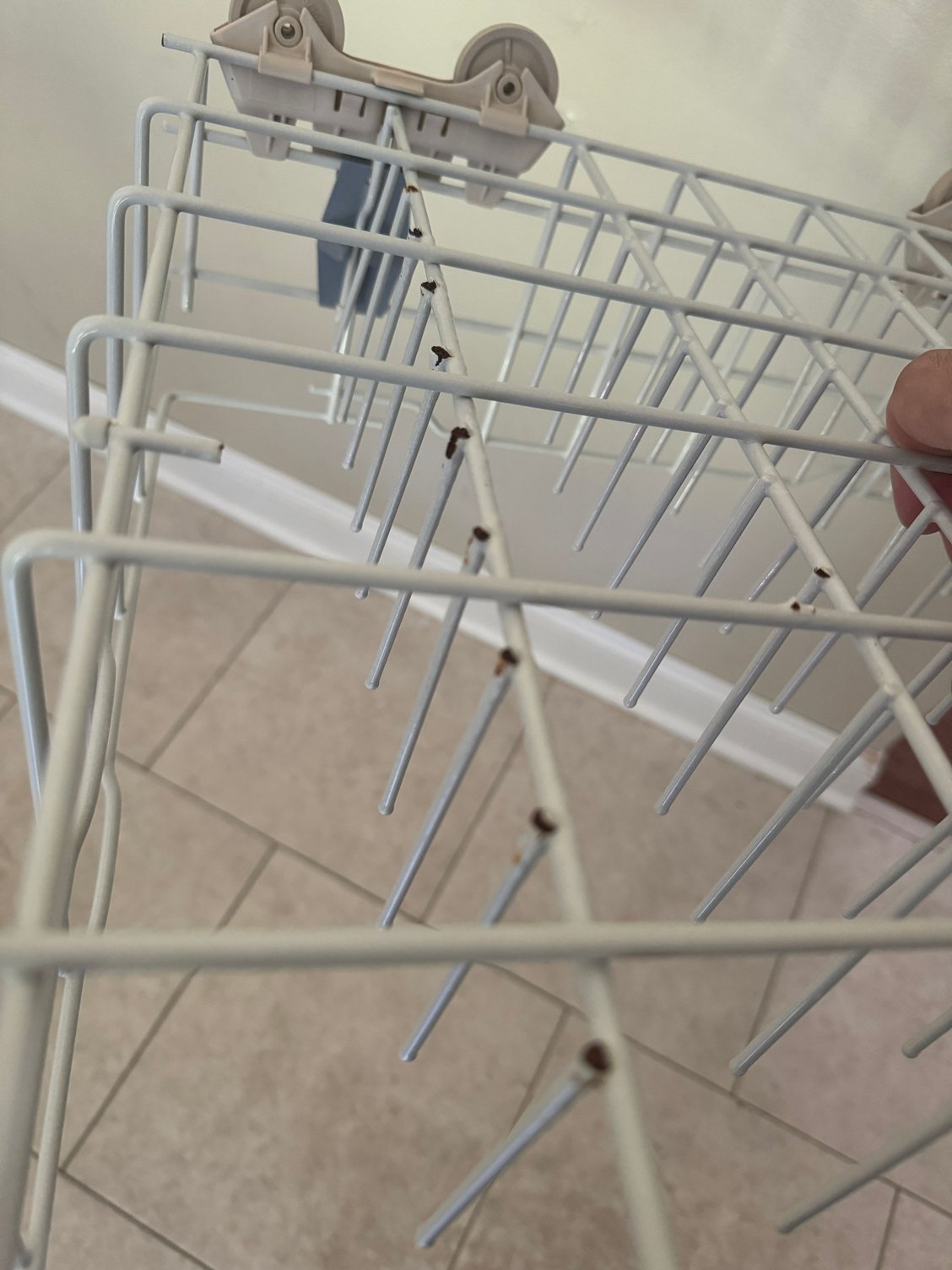 Dishwasher dishrack with vinyl coating chipped away exposing rusted metal tines