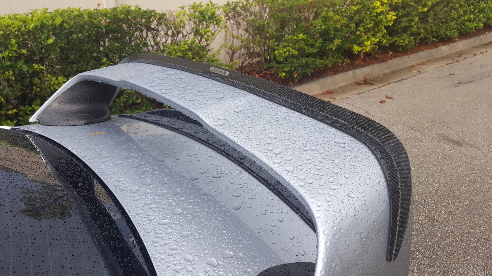 EVO X Password JDM Carbon Fiber Gurney Flap and Carbon Fiber duckbill