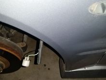 Identify the + for the fender signal light