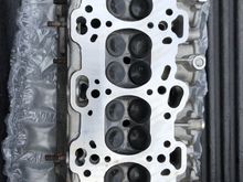 Underside of the head