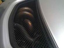 24706 1264718933563 1097430031 30618389 4033371 n