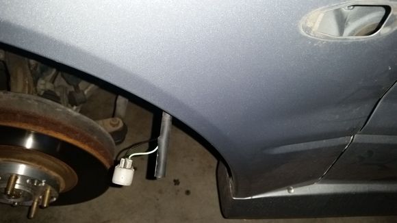 Identify the + for the fender signal light