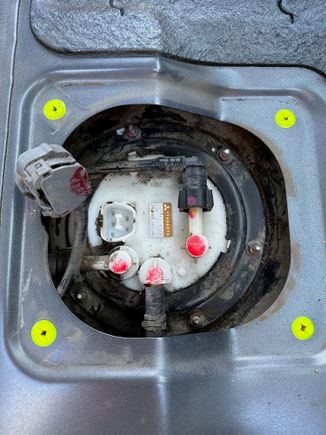 Top of the fuel hanger, beneath rear seats