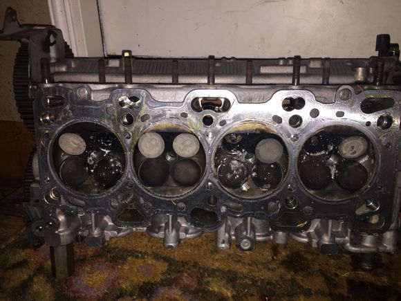 The head on the other hand....