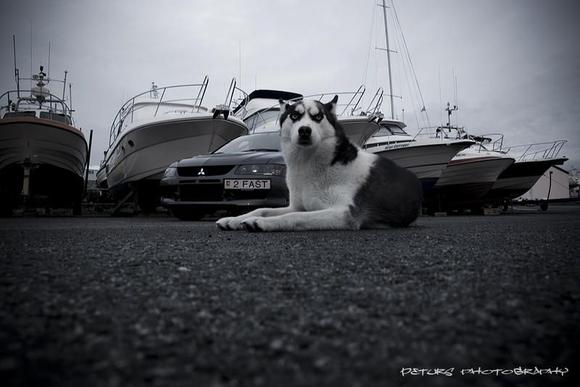 Evo [2 FAST] &amp; Panda