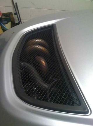 24706 1264718933563 1097430031 30618389 4033371 n